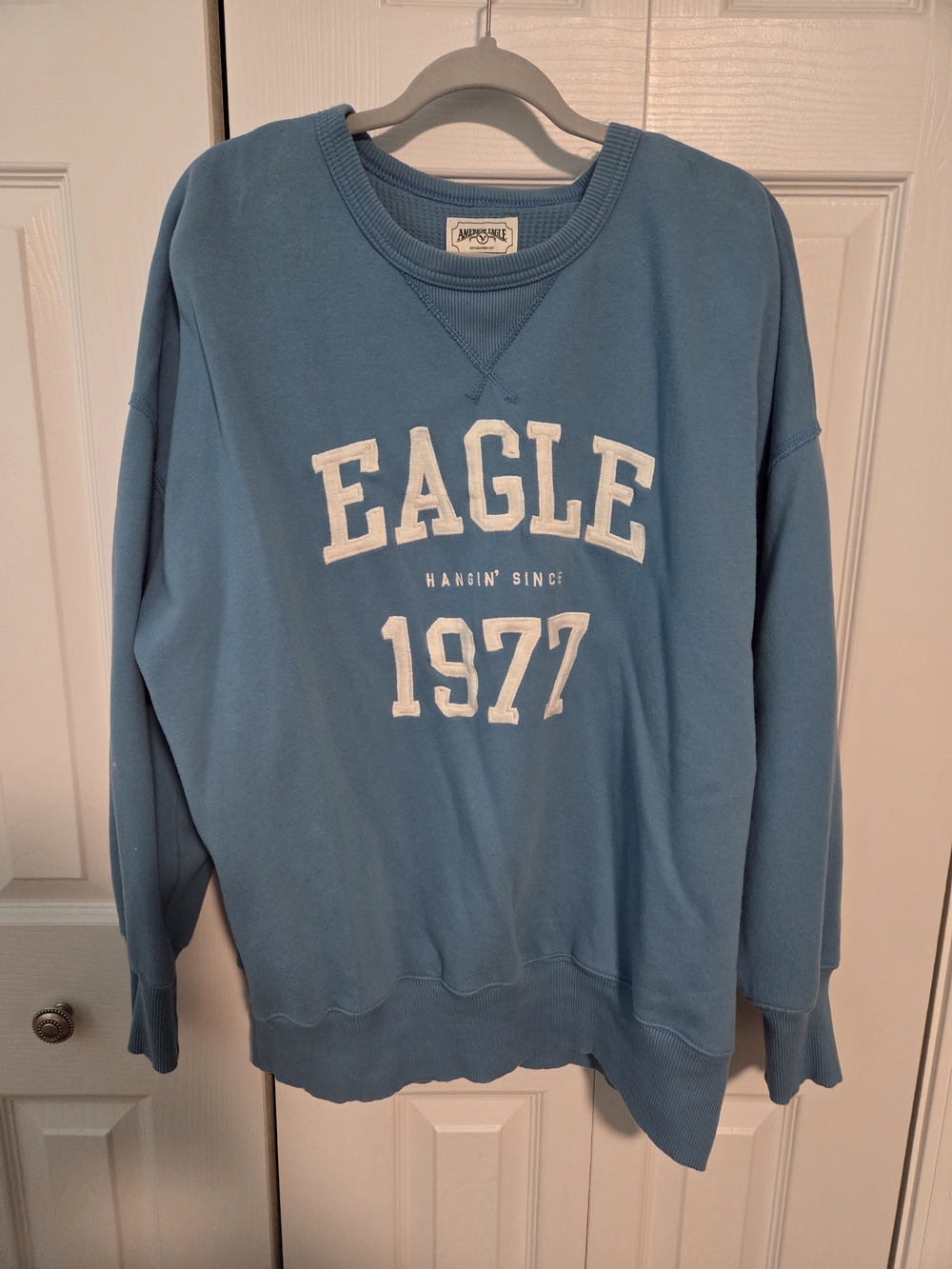 American Eagle Oversized Sweatshirt
